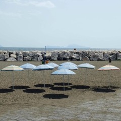 Tami [Selectors Block] [19.04.2023]