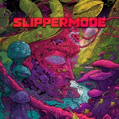 Slippermode at Pessegodelia #3 - Costela e Psytrance