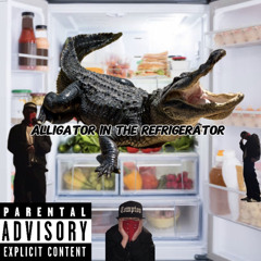 Alligator In The Refrigerator