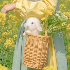 Gấp Đôi Iu Thương - Minhh Mix