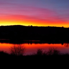 Songs of Love and Loss