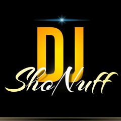 HIP-HOP/TWERK MIX (DJ SHONUFF)