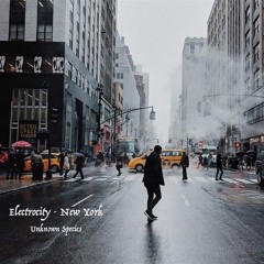 Electrocity - NewYork