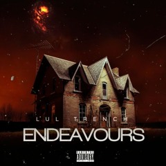 ENDEAVOURS