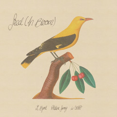 Seed (In Bloom) [feat. orbit]