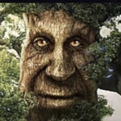 Wise Tree