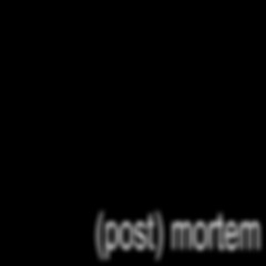 Post-Mortem