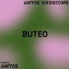 ANTJE SESSIONS - Buteo