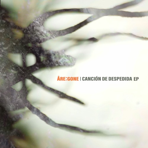 [Premiere] Åre:gone - Cause You Asked For It (Bandcamp Exclusive)