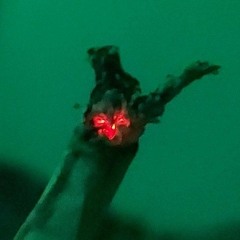 lesson 1 : HOW TO ROLL A JOINT