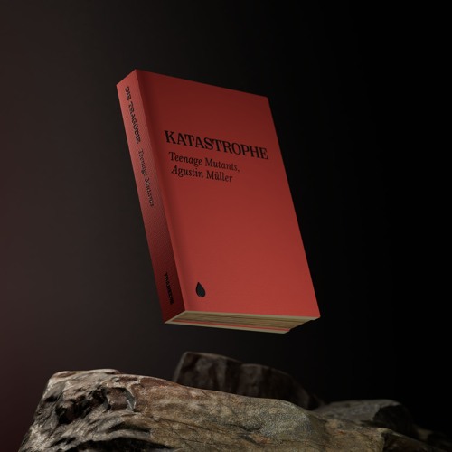 Teenage Mutants & Agustin Müller - Katastrophe  (Original Mix)