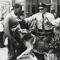 HOW WE FEEL- Free Download FULL TRACK