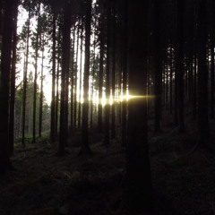 я снова вспомнил