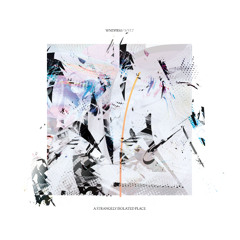 WNDFRM / WVLT (ASIPV056) [Previews]