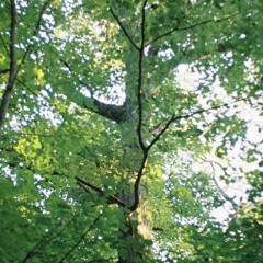 I Know What You Want