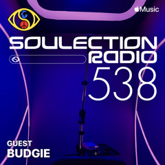 Soulection Radio Show #538 ft. Budgie (A Lover's Special)