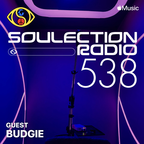 Soulection Radio #538