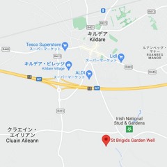 11/February/2023 - 53°08'34.5"N 6°54'27.1"W