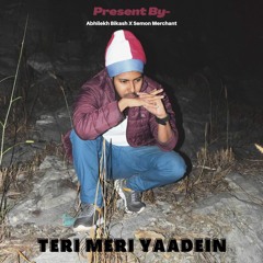 Teri Meri Yaadein (Official Audio)