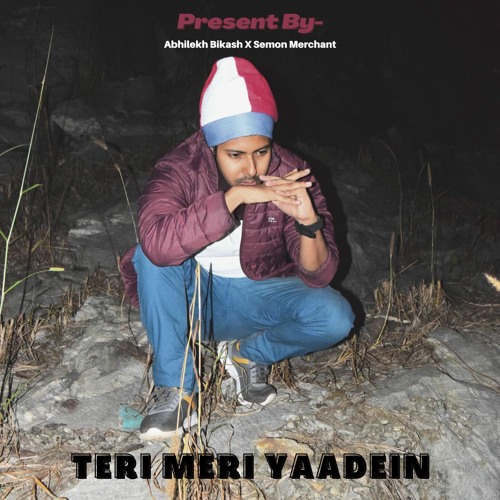 Teri Meri Yaadein (Official Audio)
