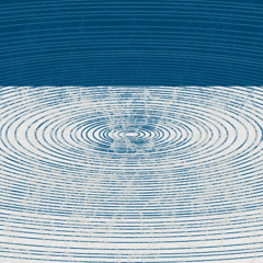 Different Types of Oval Shapes