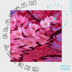 Apollo Rising - Cherry Blossom