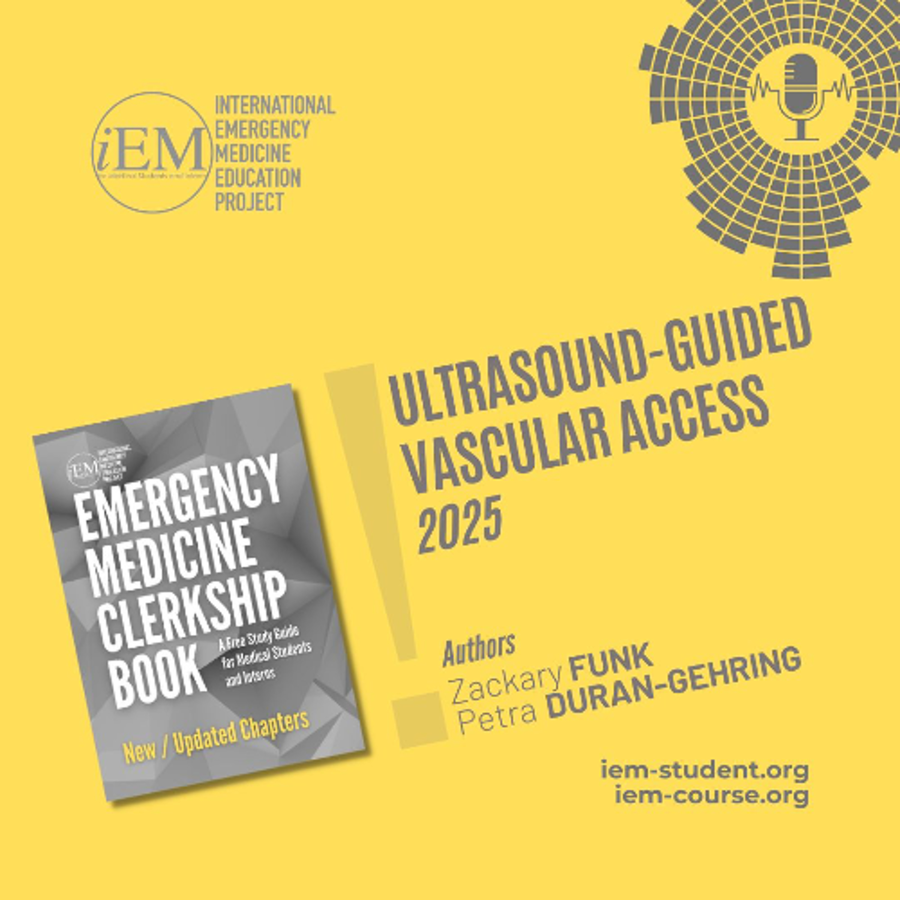 Ultrasound-Guided Vascular Access (2025)