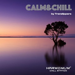 Translippers • Harmonium Chill Station • 2021