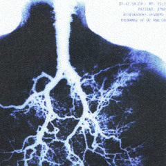 Microwave.live 10-11-2025