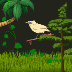 Suara Burung Cililin