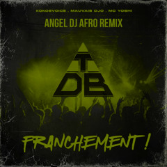 TRIANGLE DES BERMUDES, MC YOSHI, Mauvais Djo, Kokosvoice - Charger (Angel Dj Afro Remix)