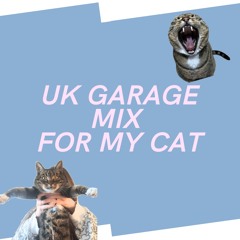 Funky/UK/Garage mix for my cat
