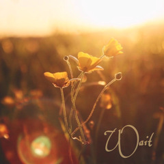 Wait️ feat. Timmons