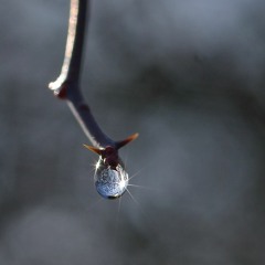 Sunshine In The Rain