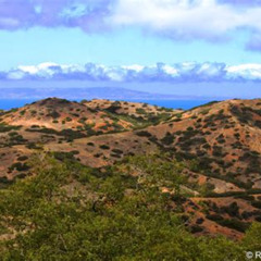 Review Special Price Catalina Island Bison Expedition