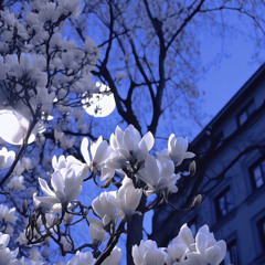 Dial (prod. lurv + ilyxo)