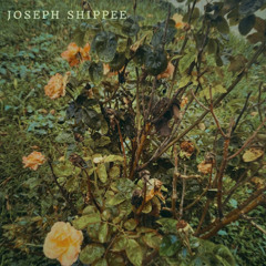 Threnody For Iryna Zarutska