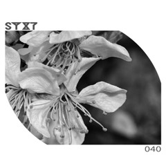 SYXT040 - Ylia (Remix: Deranged)