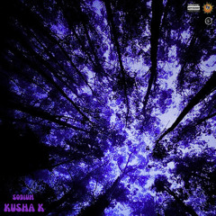 SODIUM - KUSHA K (PROD. XNGLN)
