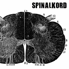 Spinalkord - Satisfaction 2.0