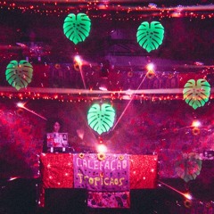 DJ CAROL MALI - Calefação Tropicaos no Mundo Pensante