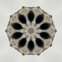 Intergalactic Science Class