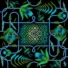 𝖕𝖗𝖊𝖒𝖎𝖊𝖗𝖊#248 📢 Toma Kami fr. Wihtner FaGo - Non Nete (E-Unity Remix) [Behuá Icára]