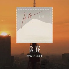 王靖雯 - 余存「你真的有爱过我，自由比我更值得」(4k Video)【動態歌詞/pīn yīn gē cí】#王靖雯 #余存 #動態歌詞