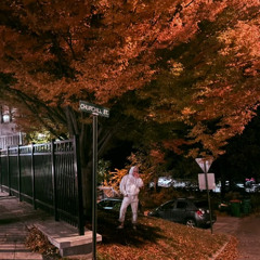 Dawn Over the Hollow