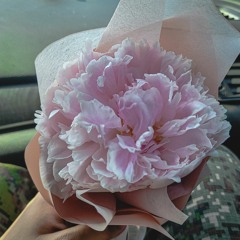 첨밀밀(오혁).mp3