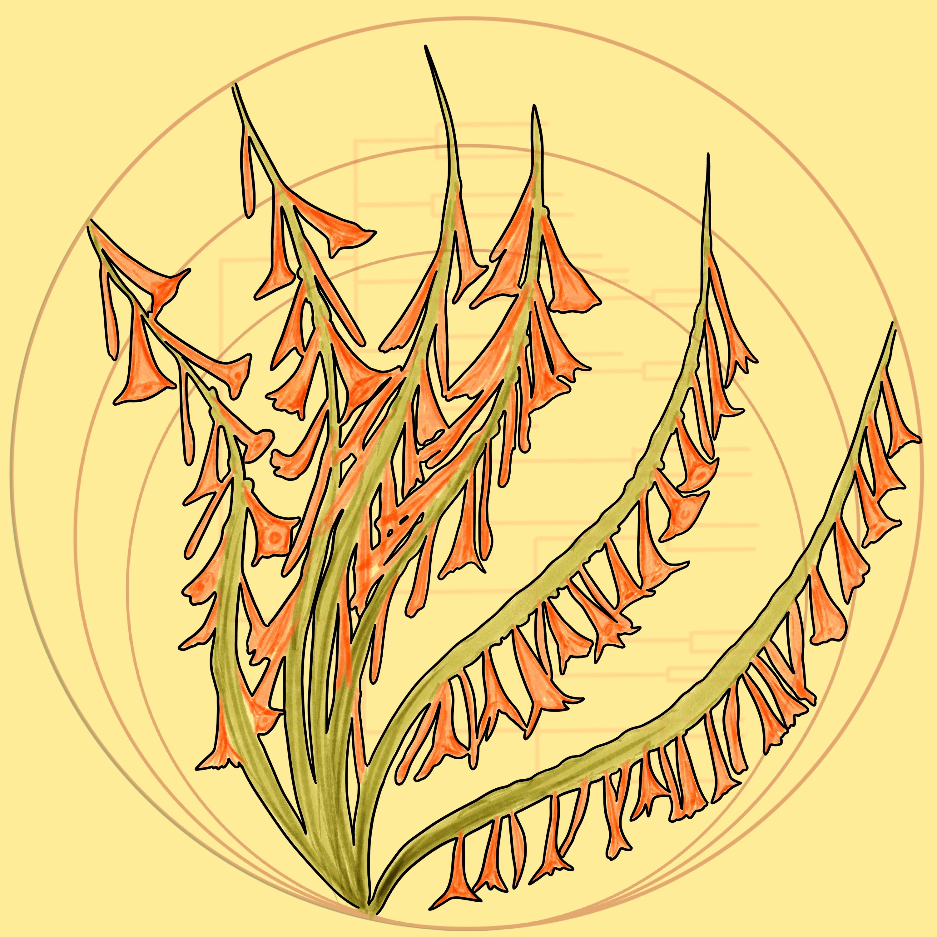RadioBio