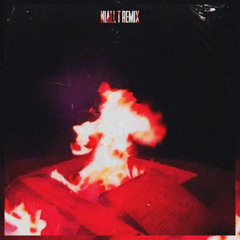Wildfire (Niall T Remix)