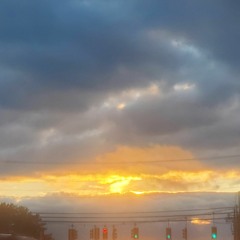 Omniversion (hardware performance)