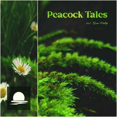 Peacock Tales w/ Sun Halø